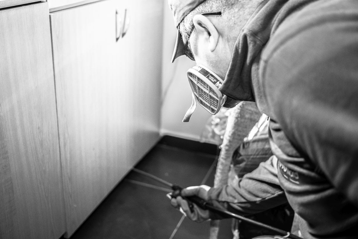 deratizare deinsectie birouri