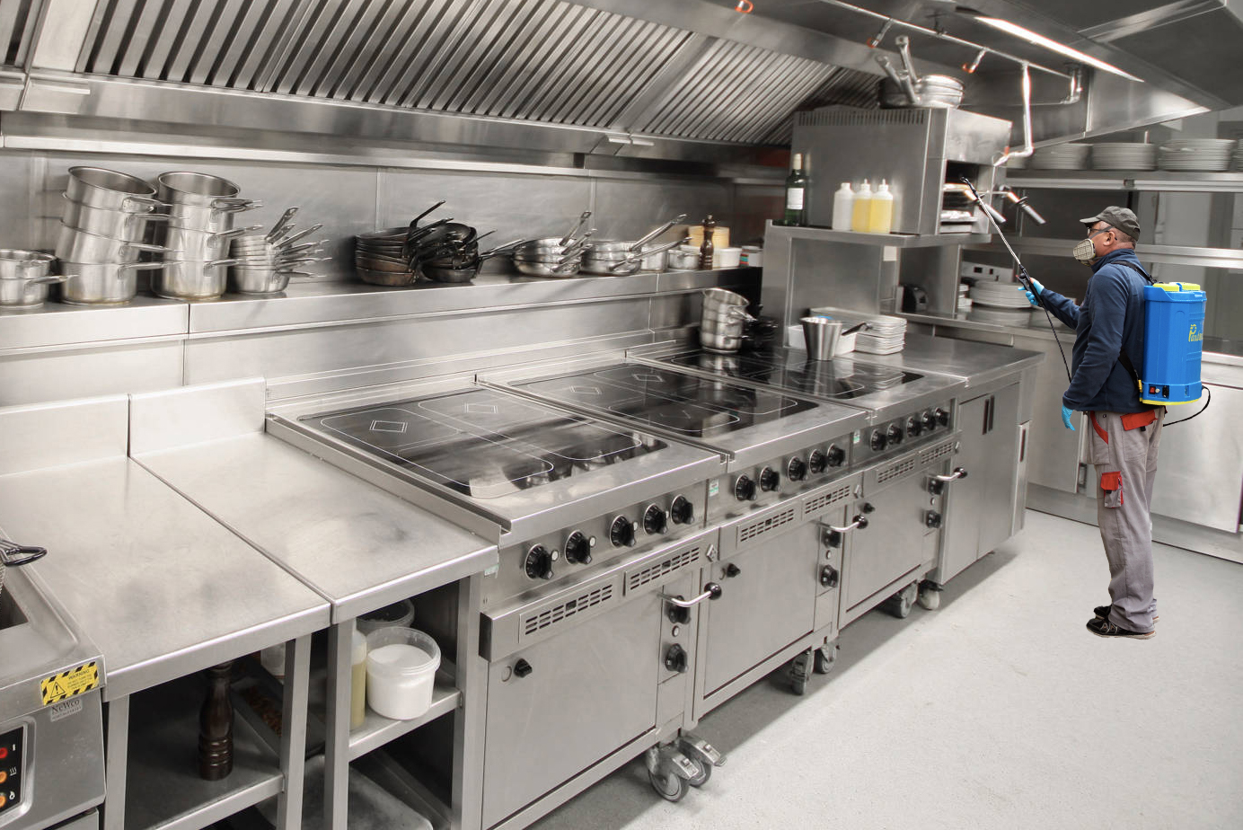 Deratizare Dezinsectie Restaurante