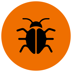 dezinsectie gandaci de bucatarie